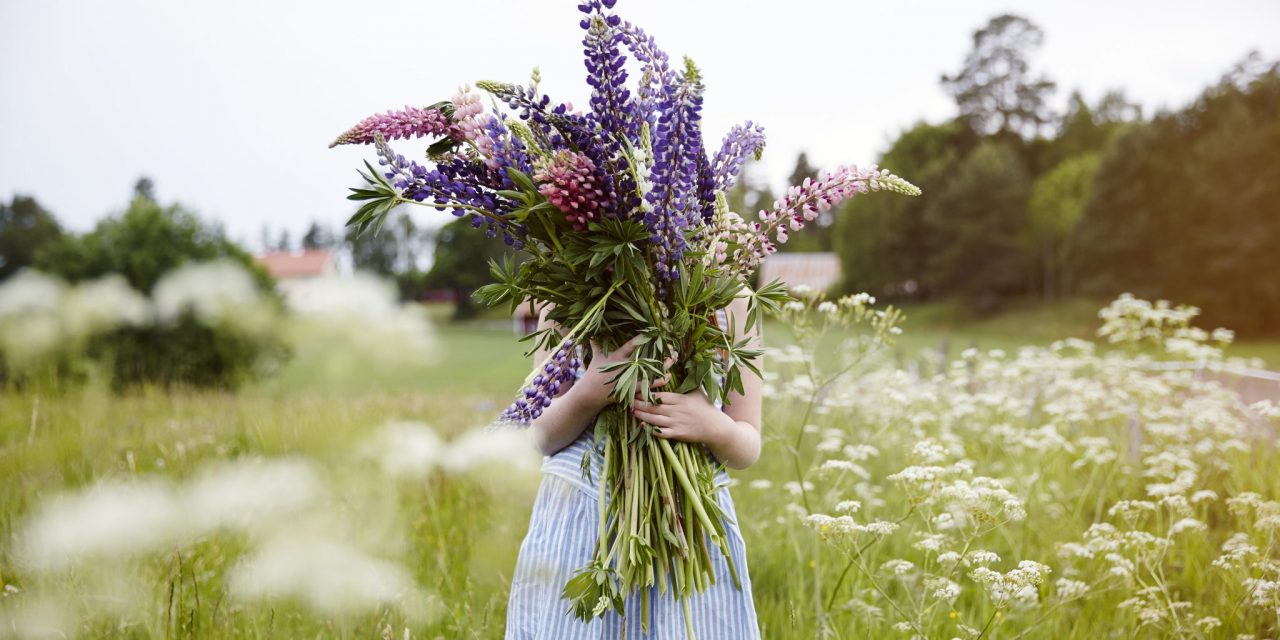 Combattere i sintomi dell'allergia primaverile