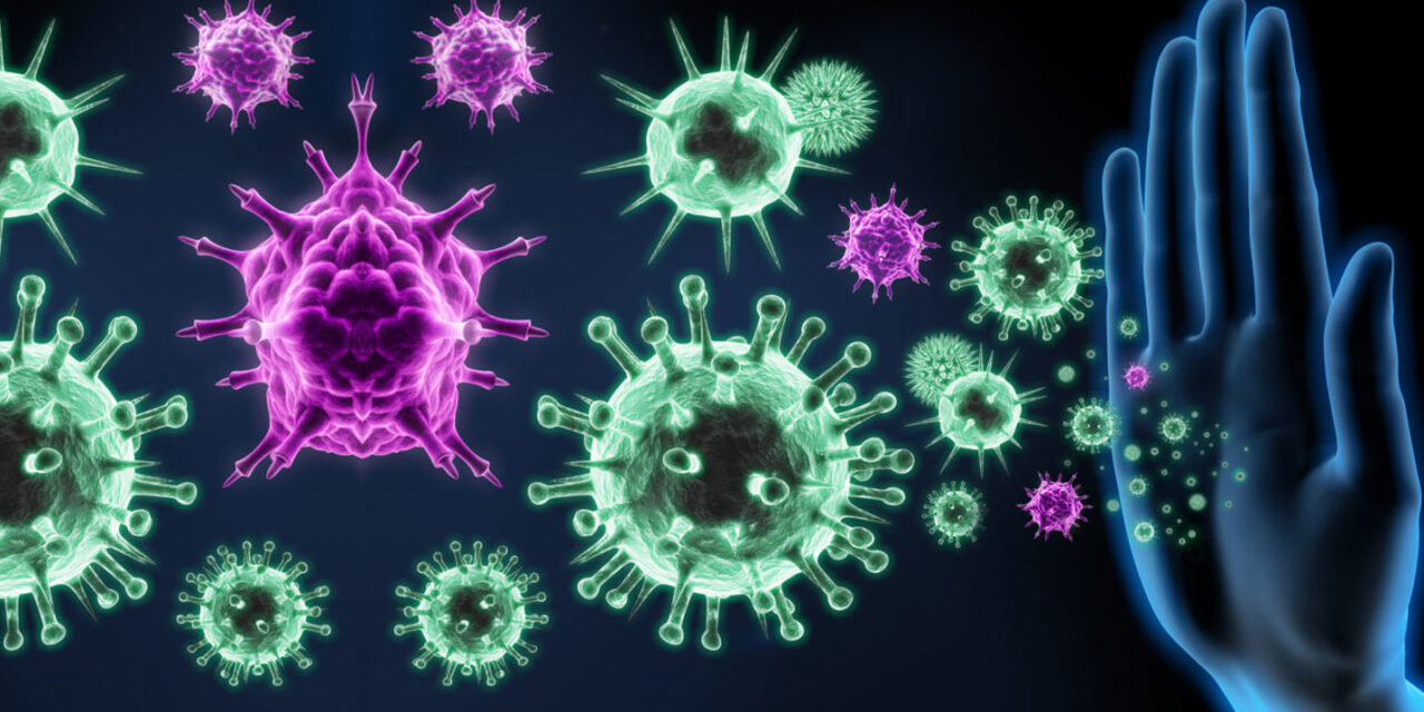 SISTEMA IMMUNITARIO: COME FUNZIONA E COME DARGLI UNA MANO