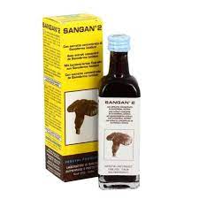 SANGAN 2 CON CONCENTRATO DI GANODERMA BIO 60 ML - pharmaluna