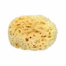 SPUGNA MARE NATURALE EXTRALARGE - pharmaluna