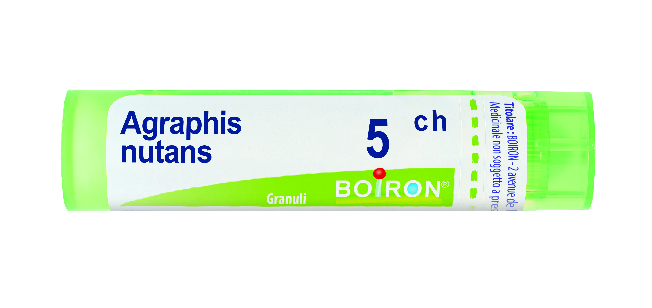 AGRAPHIS NUTANS*5CH 80GR 4G - pharmaluna