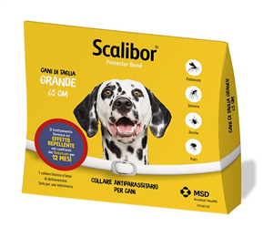 SCALIBOR PROTECTOR BAND*BI65CM - pharmaluna