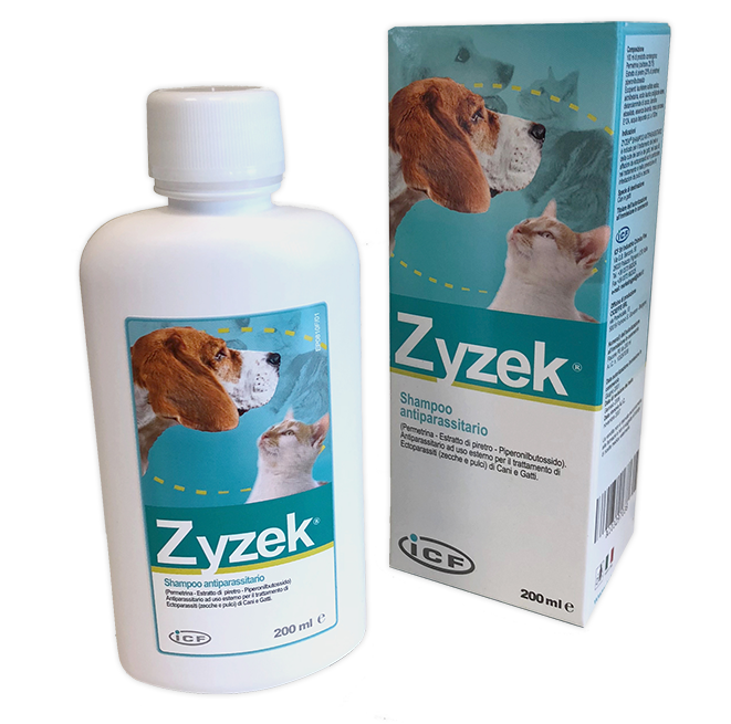 ZYZEK SHAMPOO ANT*FL PE 200ML - pharmaluna