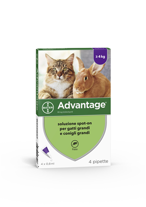 ADVANTAGE*4PIP 0,8ML SPOTON - pharmaluna