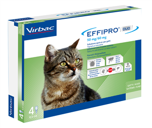 EFFIPRO DUO*4PIP 1-6KG GATTI - pharmaluna