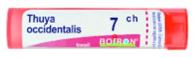 THUYA OCCIDENT 7CH GLOBULI - pharmaluna