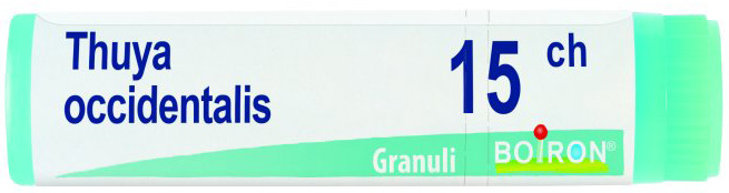 THUYA OCCIDENTALIS 15 CH GLOBULI - pharmaluna