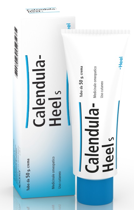 HEEL CALENDULA SALBE POMATA M 50 G - pharmaluna