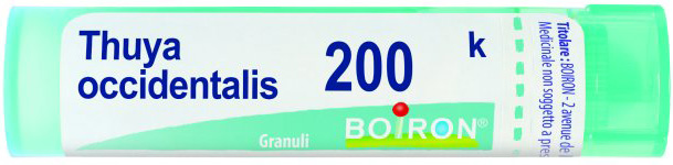 THUYA OCCIDENT 200K GRANULI - pharmaluna