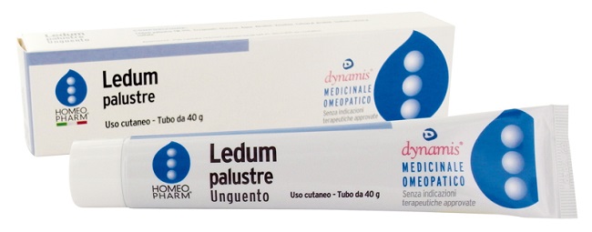 LEDUM PALUSTRE HOMEOPHARM UNGUENTO 40 G - pharmaluna