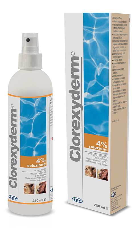 CLOREXYDERM SOLUZIONE 4% 250 ML - pharmaluna