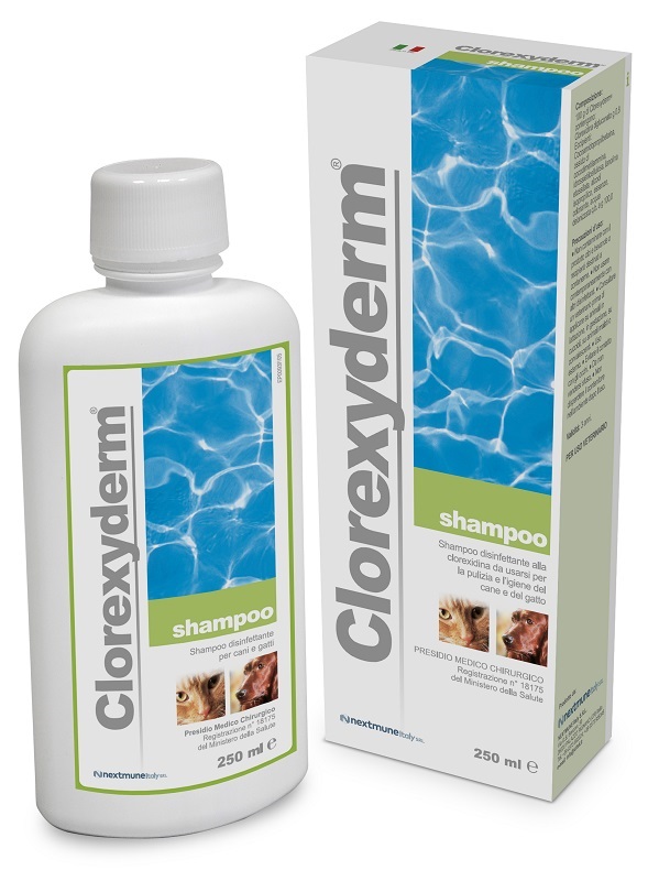 CLOREXYDERM SHAMPOO 250 ML - pharmaluna