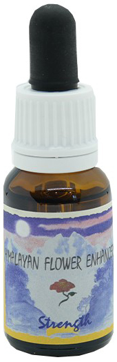 STRENGTH ESSENZA 15 ML 1 PEZZO - pharmaluna