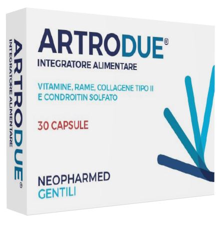 ARTRODUE 30 CAPSULE 0,2 G - pharmaluna