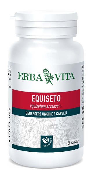 EQUISETO 60 CAPSULE - pharmaluna