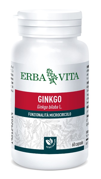 GINKOBILOBA 60 CAPSULE - pharmaluna