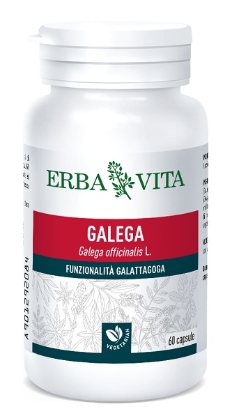 GALEGA 60 CAPSULE - pharmaluna
