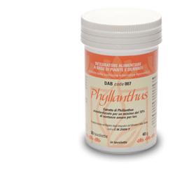 DAB 007 PHYLLANTHUS 60 TAVOLETTE - pharmaluna