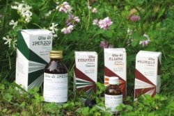 RAEMIL ROSMARINO OLIO 25 ML - pharmaluna