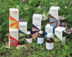 RAEMIL PROPOLI COMPOSTO 15 ML - pharmaluna