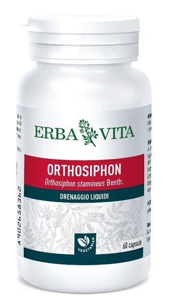 ORTOSIPHON 60 CAPSULE 400 MG - pharmaluna