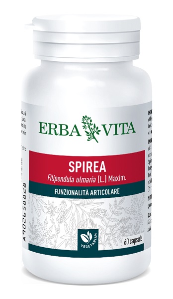 SPIREA ULMARIA 60 CAPSULE 400 MG - pharmaluna