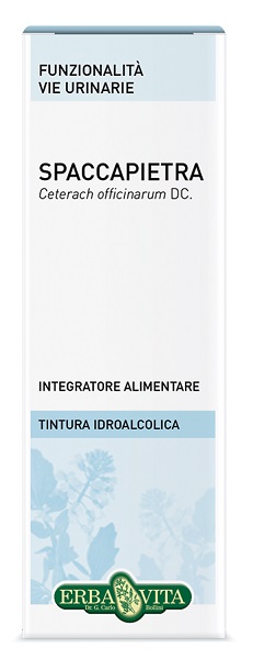 SPACCAPIETRA TINTURA IDROALCOLICA 50 ML EBV - pharmaluna
