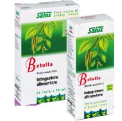 BETULLA SUCCO 200ML BIO - pharmaluna