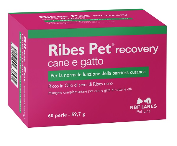 RIBES PET RECOVERY BLISTER 60 PERLE - pharmaluna