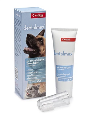 DENTALMAX GEL STOMATOLOGICO 50 ML - pharmaluna
