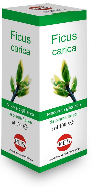FICUS CARICA MG 100 ML GOCCE - pharmaluna