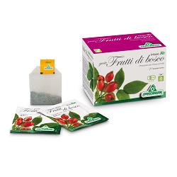 INFUSO BIO FRUTTA FRUTTI DI BOSCO 20 FILTRI - pharmaluna