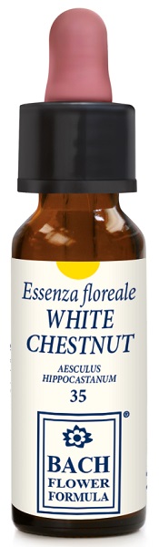 WHITE CHESTNUT ORIGINAL 10ML - pharmaluna