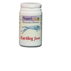 KARTILEG J 60TAV - pharmaluna
