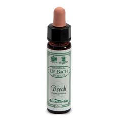 AINSWORTHS BEECH 10ML - pharmaluna