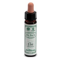 AINSWORTHS ELM 10ML - pharmaluna