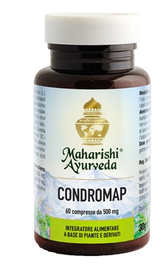 CONDROMAP 60 COMPRESSE - pharmaluna