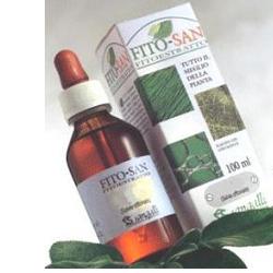 EQUISETO FRONDE STE 100ML TM - pharmaluna