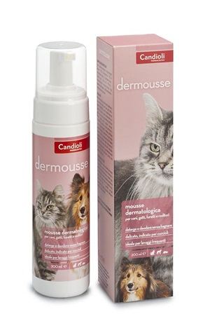 DERMOUSSE MOUSSE FLACONE 200 ML - pharmaluna