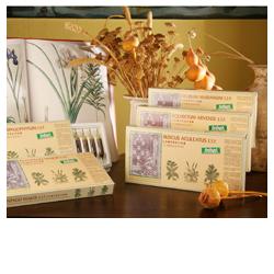 RUSCUS ACUL COMP 12F STV - pharmaluna