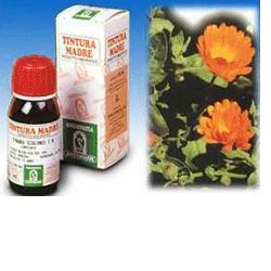 CALENDULA OFF 5 50ML TM - pharmaluna