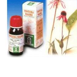 ECHINACEA 59 50ML TM - pharmaluna
