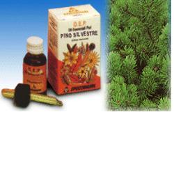 PINO SILVESTRE OLIO ESSENZIALE PURO 10 ML - pharmaluna