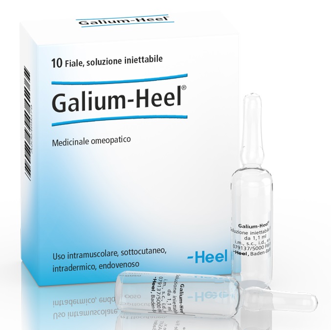 HEEL GALIUM 10 FIALE DA 1,1 ML L'UNA - pharmaluna