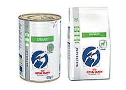 VETERINARY DIET CANINE DRY URINARY S/O 2 KG - pharmaluna