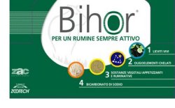BIHOR DIET RUMINATIVO 12 BUSTE DA 125 G - pharmaluna