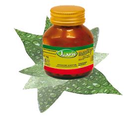 OLIO DI ENOTHERA BORRAGINE 50 PERLE - pharmaluna