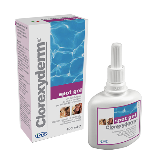 CLOREXYDERM SPOT GEL 100 ML - pharmaluna