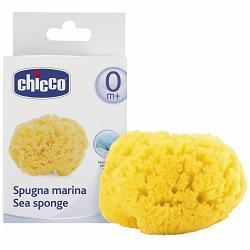 CHICCO SPUGNA MARE PICCOLA - pharmaluna