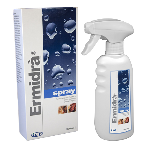 ERMIDRA' SPRAY 300 ML - pharmaluna